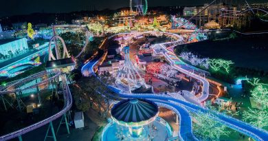 Plan a Cheap Family Vacation at an Amusement Park